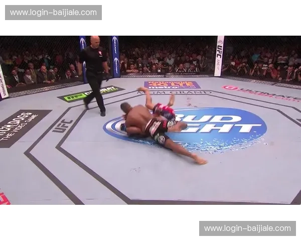 铁拳与重摔的终极博弈：科米尔VS丹叔，格斗史诗中的权杖交替